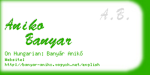 aniko banyar business card