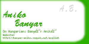 aniko banyar business card